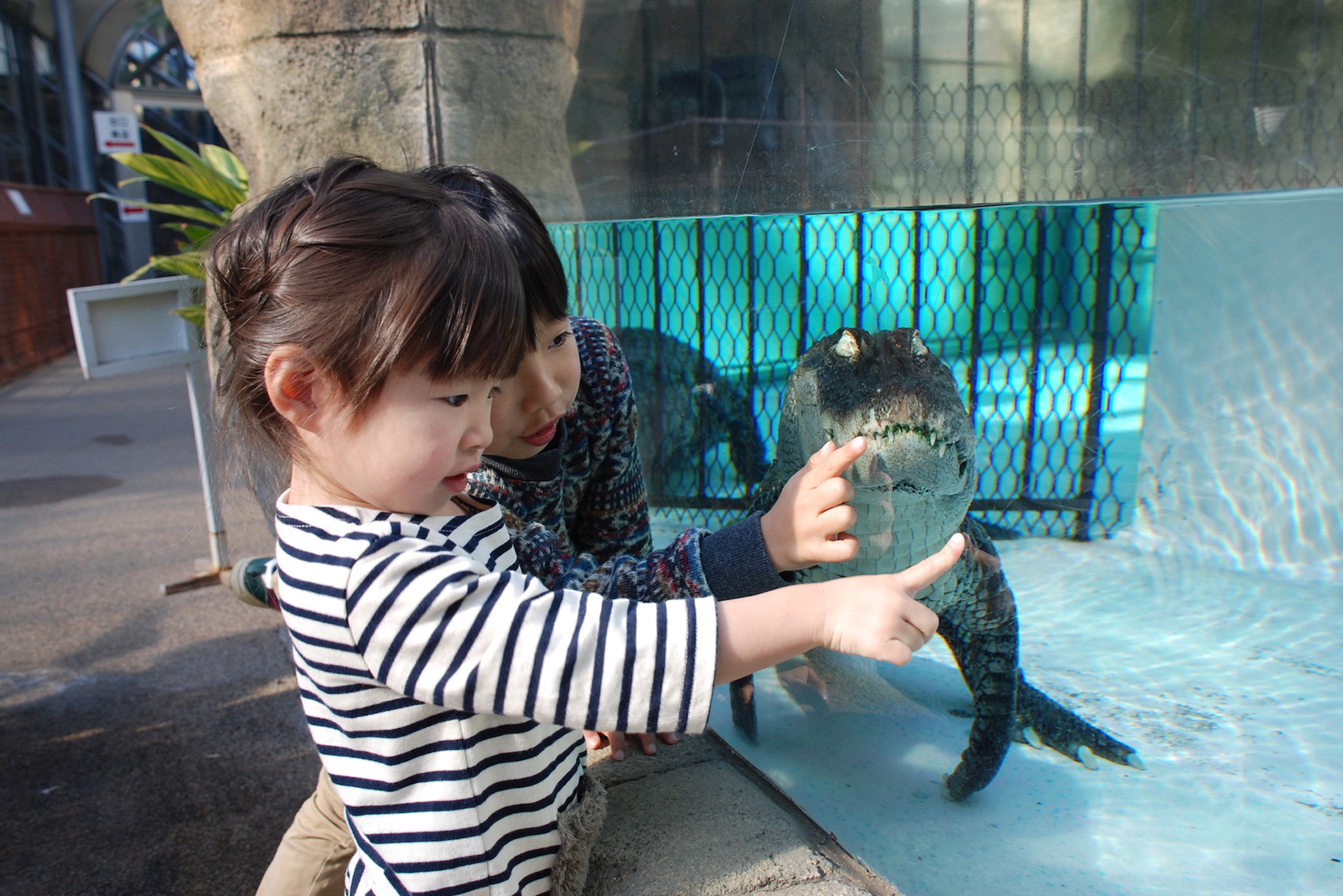 熱川バナナワニ園
