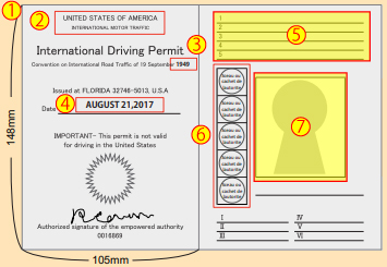 International Driving Permit