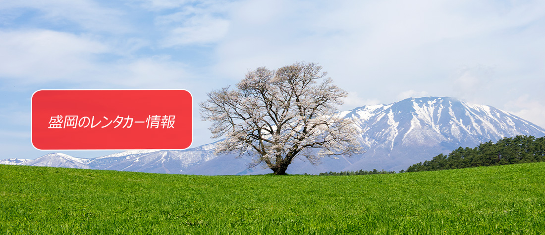 ��茧�E�����̃����^�J�[�̂��ē�