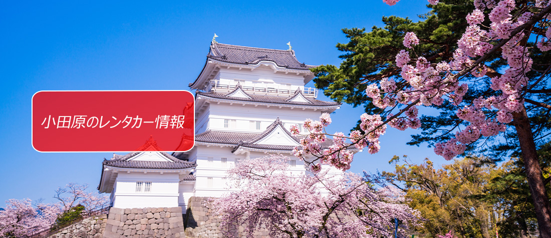 �_�ސ쌧�E���c���̃����^�J�[�̂��ē��ł��B